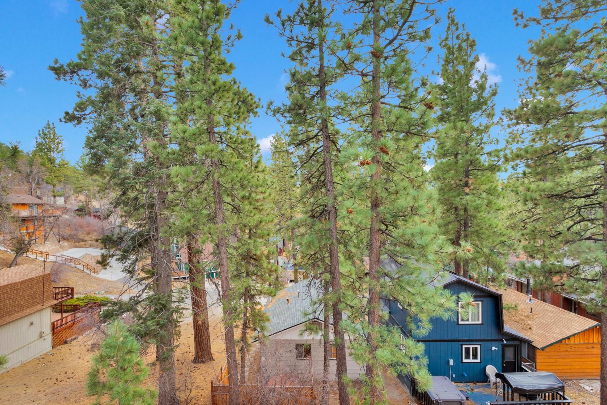 Cozy Crescent Tree Cabin Near Bear Mountain 大熊湖 外观 照片